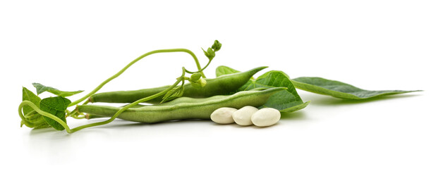 Obraz premium White beans and pods.
