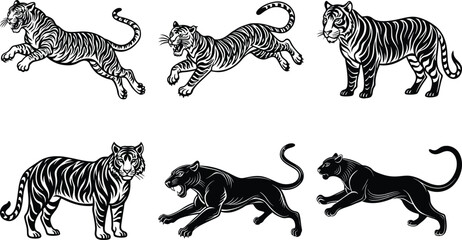 Fototapeta premium Set of stylized vector illustrations featuring two white tigers and two black panthers in a walking pose, rendered in bold black-and-white line art with mirrored symmetry.
