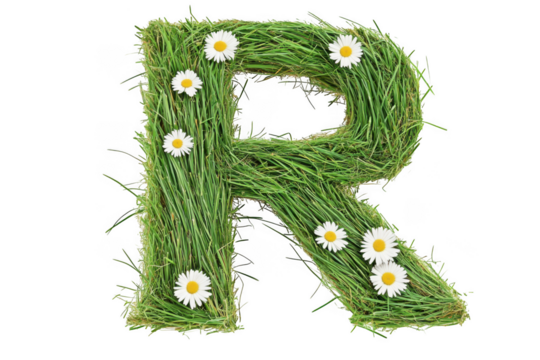 Letter r made of grass and daisies isolated on transparent background
