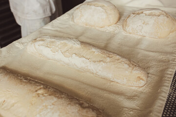 Baker preparing raw loaves of bread for baking, sprinkling flour on them