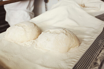 Baker preparing raw dough for baking bread in bakery workshop