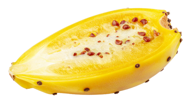 Cut Prickly Pear Cactus Showing Seeds on Transparent Background