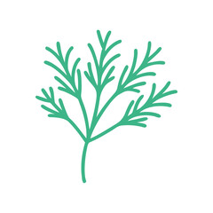 Dill sprig illustration in green outline style on a white background  