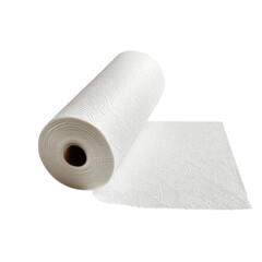 Fototapeta premium toilet paper isolated on white
