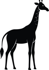  giraffe silhouette, long neck, standing animal

