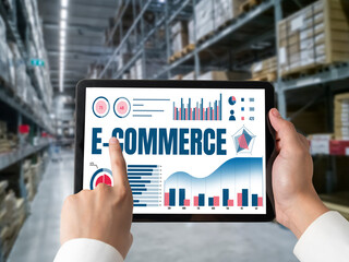 E-commerce data software provide modish dashboard for sale analysis to the online retail business