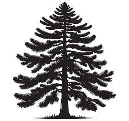 Highly Detailed Black and White Silhouette of a Coniferous Evergreen Tree - Stylized Vector Graphic for Nature and Forest Designs