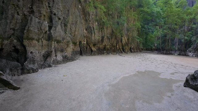 Panak İsland , a peaceful sandy beach surrounded by cliffs and greenery, with smooth sand and no visible footprints or human presence 
