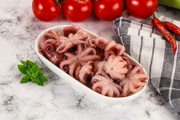 Marinated baby octopus in the bowl