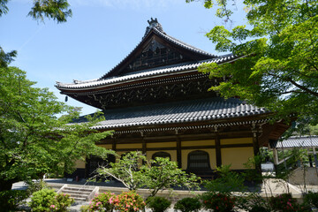 新緑の南禅寺　法堂　京都市左京区