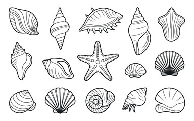 Collection of Black and White Seashells and Starfish Outlines Vector Illustration of Various Shell Types Perfect for Coloring Books and Summer Themed Designs