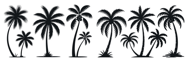 Fototapeta premium Collection of Black Palm Tree Silhouettes on White Background Tropical Exotic Trees Vacation and Holiday Concept Vector Illustration for Decoration and Design