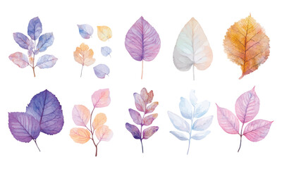 Colorful watercolor autumn and botanical leaves illustration set