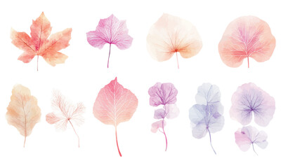 Pastel botanical transparent leaves with delicate watercolor textures