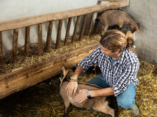 Middle aged male farmer taking care of baby goats