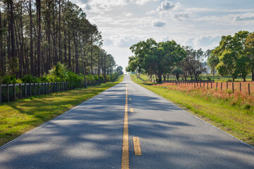 Low angle view of two lane asphalt highway in rural central Florida on a sunny afternoon