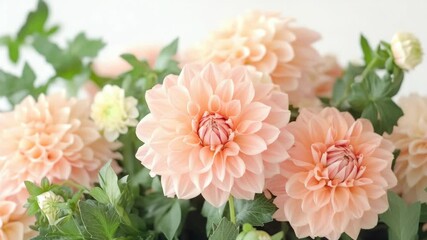 A bouquet of pink flowers with green leaves. The flowers are in a vase and are arranged in a way that they are all facing the same direction. Scene is one of beauty and serenity