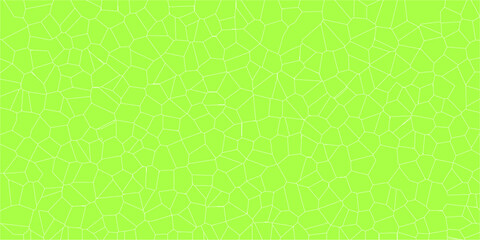 Intricate webbed design evoking natural surface mapping

