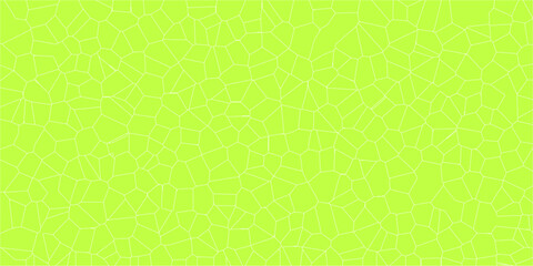 Fototapeta premium Intricate webbed design evoking natural surface mapping