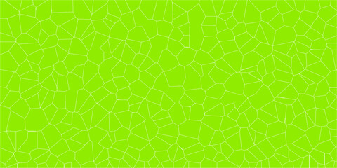 Irregular grid pattern based on natural plant framework

