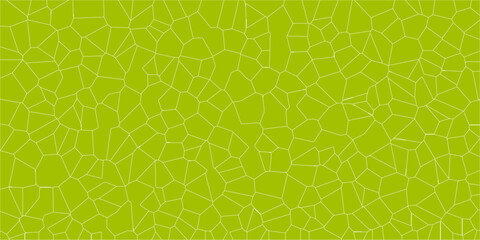 Irregular grid pattern based on natural plant framework

