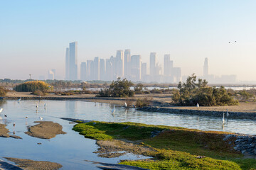Birds by the water at Ras Al Khor Wildlife Sanctuary in Dubai. In the background, modern buildings of Dubai Creek Harbour rise through light morning haze