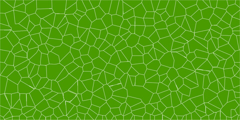 Detailed representation of a leaf’s internal structural web

