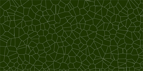 Obraz premium Intricate organic pattern resembling natural leaf vein structures