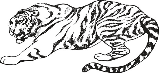 Vector black and white Hand-drawn Tiger Illustration Dynamic pose with bold linework and detailed stripes, perfect for tattoo design, wildlife themes, or graphic art use.