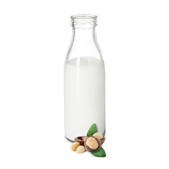 Nut milk in glass bottle and macadamias isolated on white