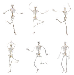 Artificial human skeleton model in different poses isolated on white, set