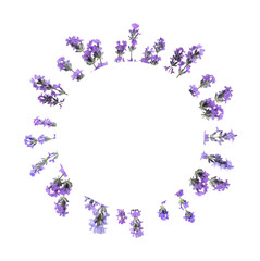 Circle of beautiful lavender flowers on white background, collage