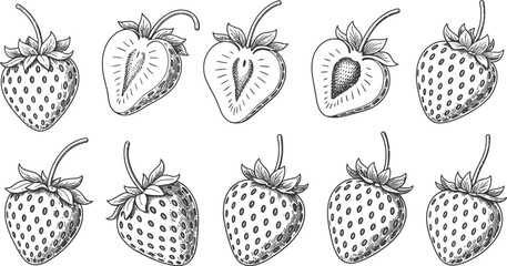 Ten strawberries in an engraving style, some whole and some cut in half, on a white background plain