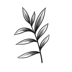 leaf flower handdrawn