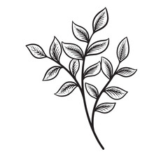 leaf flower handdrawn