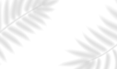 The transparent shadow overlay effect tropical leaves. Realistic shadow of palm branch. Mockup of transparent tropic fern leaves shadow and natural lightning. Vector illustration
