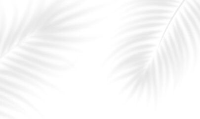 The transparent shadow overlay effect tropical leaves. Realistic shadow of palm branch. Mockup of transparent tropic leaves shadow and natural lightning. Vector illustration
