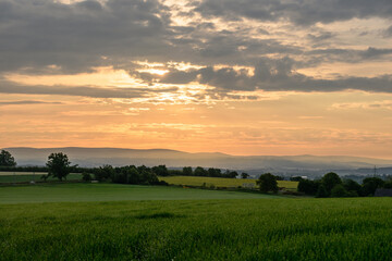 sunrise over the field