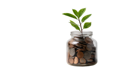 Small green plant growing from various coins inside clear glass jar on a transparent background, symbolizing financial growth and investment