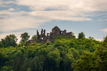 castle in the forest