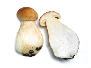 Mushrooms Boletus edulis (porcini) on a white background.