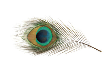 Obraz premium Colorful peacock feather with vibrant eye pattern on white background, cut out