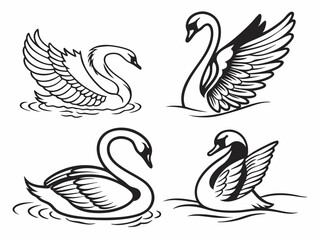 Fototapeta premium Create A Black And White Vector Collection Of Swan 3