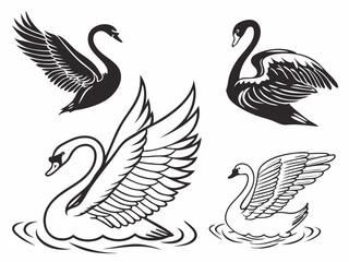 Fototapeta premium Create A Black And White Vector Collection Of Swan