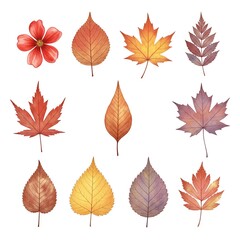 Artistic set of forest leaves and small blossoms featuring warm autumn tones for commercial or editorial background