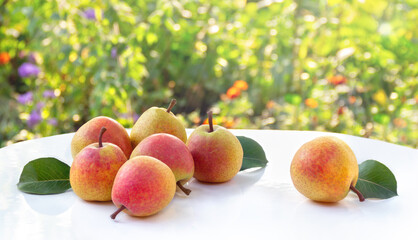 Ripe yellow pears with red blush on a white table with natural background