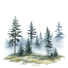 Misty Forest, watercolor painting vector, high quality, isolated on a white background.