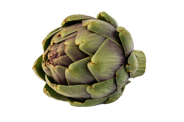 Obraz premium Close-up of fresh artichoke with detailed texture on black background, cut out