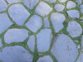 stone pavement and grass texture
