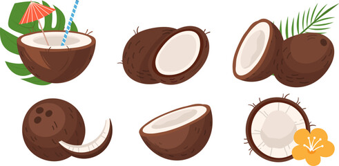 Coconut fresh tropical fruit cartoon vector illustration set